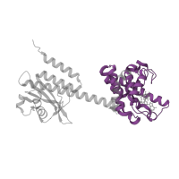 The deposited structure of PDB entry 4mdz contains 2 copies of Pfam domain PF13487 (HD domain) in HD-GYP domain-containing protein. Showing 1 copy in chain B.