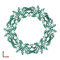 Homo dodecameric assembly 1 of PDB entry 4mh3 coloured by chemically distinct molecules, front view.