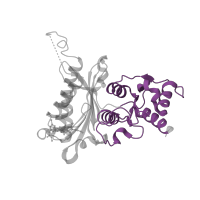 The deposited structure of PDB entry 4mjo contains 8 copies of Pfam domain PF18913 (Fructose-1-6-bisphosphatase, C-terminal domain) in Fructose-1,6-bisphosphatase 1. Showing 1 copy in chain A.