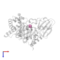 TETRAHYDROPYRAN in PDB entry 4ml4, assembly 1, top view.