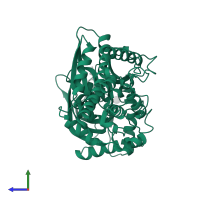 Hexokinase-4 in PDB entry 4mlh, assembly 1, side view.