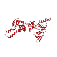 The deposited structure of PDB entry 4mmu contains 1 copy of Pfam domain PF00523 (Fusion glycoprotein F0) in Fibritin. Showing 1 copy in chain B.