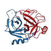 The deposited structure of PDB entry 4mtb contains 2 copies of CATH domain 2.40.10.10 (Thrombin, subunit H) in Serine protease 1. Showing 2 copies in chain A.