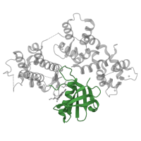 The deposited structure of PDB entry 4mvf contains 1 copy of CATH domain 3.30.200.20 (Phosphorylase Kinase; domain 1) in Calcium-dependent protein kinase 2. Showing 1 copy in chain A.