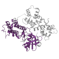 The deposited structure of PDB entry 4mvf contains 1 copy of Pfam domain PF00069 (Protein kinase domain) in Calcium-dependent protein kinase 2. Showing 1 copy in chain A.