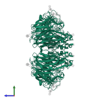 Neuraminidase in PDB entry 4mwq, assembly 1, side view.