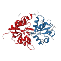 The deposited structure of PDB entry 4n07 contains 6 copies of CATH domain 3.40.190.10 (D-Maltodextrin-Binding Protein; domain 2) in Glutamate receptor 2. Showing 2 copies in chain A.