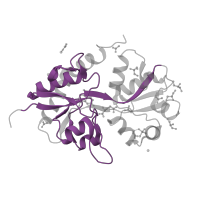 The deposited structure of PDB entry 4n07 contains 3 copies of Pfam domain PF10613 (Ligated ion channel L-glutamate- and glycine-binding site) in Glutamate receptor 2. Showing 1 copy in chain A.