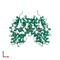 Homo dimeric assembly 2 of PDB entry 4n07 coloured by chemically distinct molecules, front view.