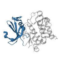 The deposited structure of PDB entry 4n6y contains 1 copy of CATH domain 3.30.200.20 (Phosphorylase Kinase; domain 1) in Serine/threonine-protein kinase pim-1. Showing 1 copy in chain A.