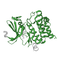 The deposited structure of PDB entry 4n6y contains 1 copy of Pfam domain PF00069 (Protein kinase domain) in Serine/threonine-protein kinase pim-1. Showing 1 copy in chain A.
