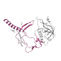 The deposited structure of PDB entry 4n7k contains 1 copy of CATH domain 4.10.540.10 (Photosynthetic Reaction Center; Chain H, domain 1) in Reaction center protein H chain. Showing 1 copy in chain A [auth H].