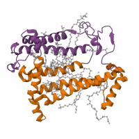 The deposited structure of PDB entry 4n7k contains 2 copies of CATH domain 1.20.85.10 (Photosynthetic Reaction Center, subunit M; domain 1) in Reaction center protein M chain. Showing 2 copies in chain C [auth M].