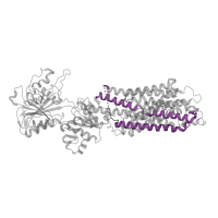 The deposited structure of PDB entry 4nab contains 1 copy of Pfam domain PF00122 (E1-E2 ATPase) in Sarcoplasmic/endoplasmic reticulum calcium ATPase 1. Showing 1 copy in chain A.