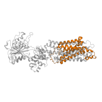 The deposited structure of PDB entry 4nab contains 1 copy of Pfam domain PF00689 (Cation transporting ATPase, C-terminus) in Sarcoplasmic/endoplasmic reticulum calcium ATPase 1. Showing 1 copy in chain A.