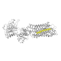 The deposited structure of PDB entry 4nab contains 1 copy of Pfam domain PF00690 (Cation transporter/ATPase, N-terminus) in Sarcoplasmic/endoplasmic reticulum calcium ATPase 1. Showing 1 copy in chain A.