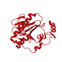 The deposited structure of PDB entry 4ndf contains 2 copies of CATH domain 3.30.428.10 (HIT family, subunit A) in Aprataxin. Showing 1 copy in chain A.