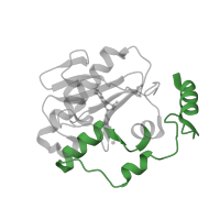 The deposited structure of PDB entry 4ndf contains 2 copies of Pfam domain PF16278 (C2HE / C2H2 / C2HC zinc-binding finger) in Aprataxin. Showing 1 copy in chain A.