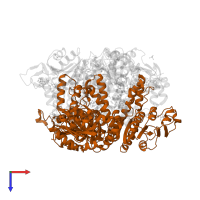 Molybdenum storage protein subunit alpha in PDB entry 4ndp, assembly 1, top view.