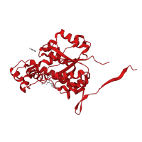 The deposited structure of PDB entry 4ndz contains 1 copy of CATH domain 3.40.50.300 (Rossmann fold) in Heparan sulfate 2-O-sulfotransferase 1. Showing 1 copy in chain A.