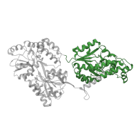 The deposited structure of PDB entry 4ndz contains 6 copies of Pfam domain PF03567 (Sulfotransferase family) in Heparan sulfate 2-O-sulfotransferase 1. Showing 1 copy in chain C.