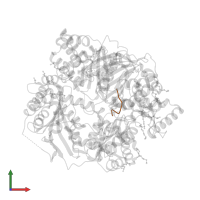 Amyloid-beta protein 40 in PDB entry 4nge, assembly 1, front view.