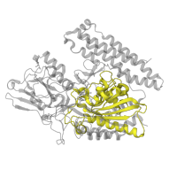 The deposited structure of PDB entry 4ngp contains 1 copy of Pfam domain PF04389 (Peptidase family M28) in Glutamate carboxypeptidase 2. Showing 1 copy in chain A.