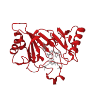The deposited structure of PDB entry 4njg contains 2 copies of CATH domain 3.20.20.70 (TIM Barrel) in 7-carboxy-7-deazaguanine synthase. Showing 1 copy in chain A.