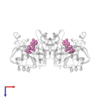 S-ADENOSYLMETHIONINE in PDB entry 4njg, assembly 1, top view.