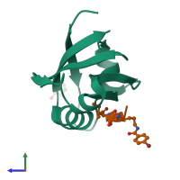 Hetero dimeric assembly 1 of PDB entry 4nmv coloured by chemically distinct molecules, side view.