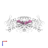 FLAVIN-ADENINE DINUCLEOTIDE in PDB entry 4ntd, assembly 1, top view.