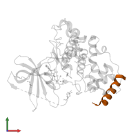 Axin-1 in PDB entry 4nu1, assembly 1, front view.