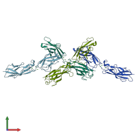 PDB entry 4num coloured by chain, front view.