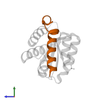 Ribosome assembly 1 protein in PDB entry 4nut, assembly 1, side view.