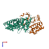 Hetero dimeric assembly 1 of PDB entry 4nzw coloured by chemically distinct molecules, top view.