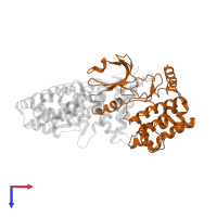 Serine/threonine-protein kinase 25 in PDB entry 4nzw, assembly 1, top view.