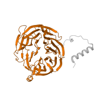 The deposited structure of PDB entry 4o1q contains 2 copies of Pfam domain PF06433 (Methylamine dehydrogenase heavy chain (MADH)) in Methylamine dehydrogenase heavy chain. Showing 1 copy in chain D.