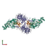 Hetero hexameric assembly 1 of PDB entry 4o1q coloured by chemically distinct molecules, front view.