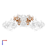 Methylamine dehydrogenase (amicyanin) in PDB entry 4o1q, assembly 1, top view.