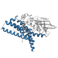 The deposited structure of PDB entry 4o5m contains 4 copies of CATH domain 1.20.140.10 (Butyryl-CoA Dehydrogenase, subunit A; domain 3) in Isovaleryl-CoA dehydrogenase, mitochondrial. Showing 1 copy in chain C.