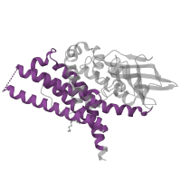 The deposited structure of PDB entry 4o5m contains 4 copies of Pfam domain PF00441 (Acyl-CoA dehydrogenase, C-terminal domain) in Isovaleryl-CoA dehydrogenase, mitochondrial. Showing 1 copy in chain C.