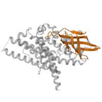 The deposited structure of PDB entry 4o5m contains 4 copies of Pfam domain PF02770 (Acyl-CoA dehydrogenase, middle domain) in Isovaleryl-CoA dehydrogenase, mitochondrial. Showing 1 copy in chain C.