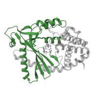 The deposited structure of PDB entry 4o67 contains 2 copies of Pfam domain PF03281 (Mab-21 protein nucleotidyltransferase domain) in Cyclic GMP-AMP synthase. Showing 1 copy in chain B.