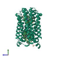 Homo dimeric assembly 1 of PDB entry 4o6y coloured by chemically distinct molecules, side view.