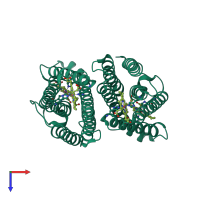 Homo dimeric assembly 1 of PDB entry 4o6y coloured by chemically distinct molecules, top view.
