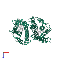 Transmembrane ascorbate ferrireductase 2 in PDB entry 4o6y, assembly 1, top view.