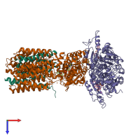 Hetero hexameric assembly 1 of PDB entry 4o9u coloured by chemically distinct molecules, top view.