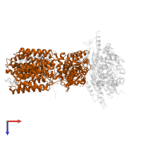 NAD(P) transhydrogenase subunit beta in PDB entry 4o9u, assembly 1, top view.