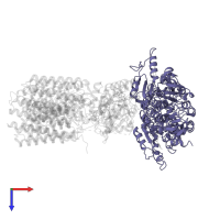 proton-translocating NAD(P)(+) transhydrogenase in PDB entry 4o9u, assembly 1, top view.