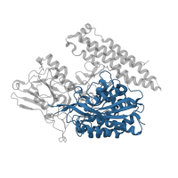 The deposited structure of PDB entry 4oc3 contains 1 copy of CATH domain 3.40.630.10 (Aminopeptidase) in Glutamate carboxypeptidase 2. Showing 1 copy in chain A.